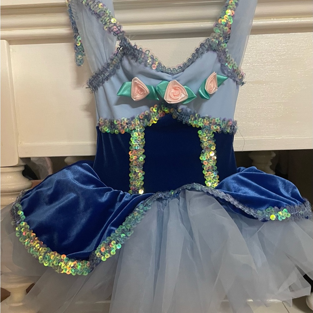 Blue Sequin Kids Costume Dress